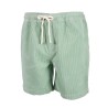 Velvet shorts Beach horizon – Green mint